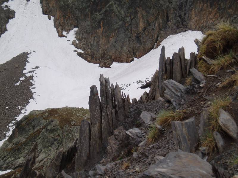 Youri - Ecrins 2005 198 